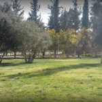 حديقة الثورة: الحديقة الأهم في اليمن