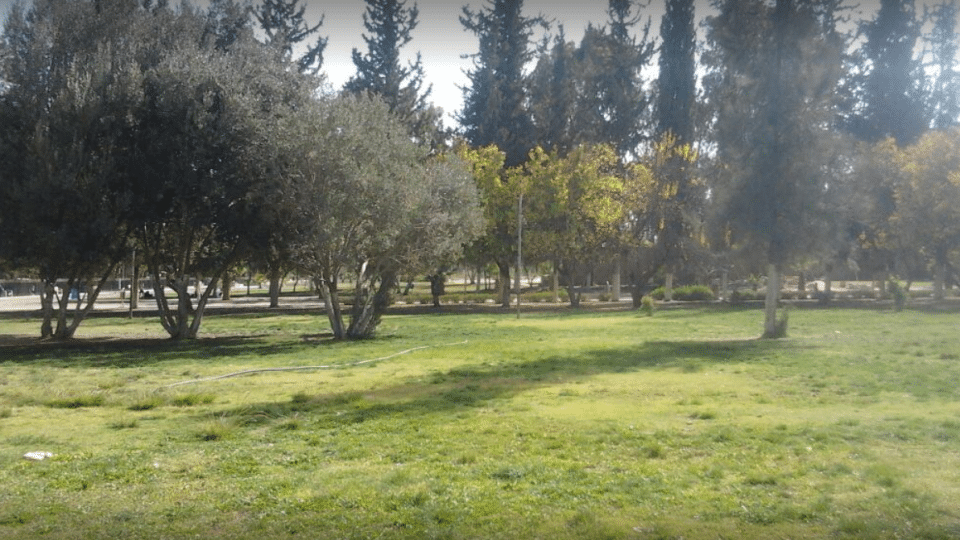 اليمن - حديقة الثورة: الحديقة الأهم في اليمن
