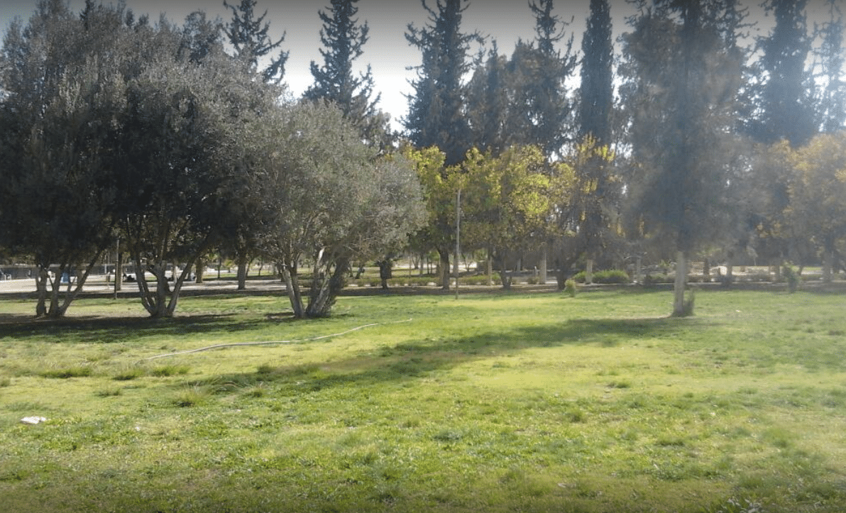 اليمن - حديقة الثورة: الحديقة الأهم في اليمن