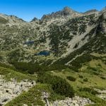 حديقة بيرين الوطنية: أهم الحدائق الموجودة في بلغاريا