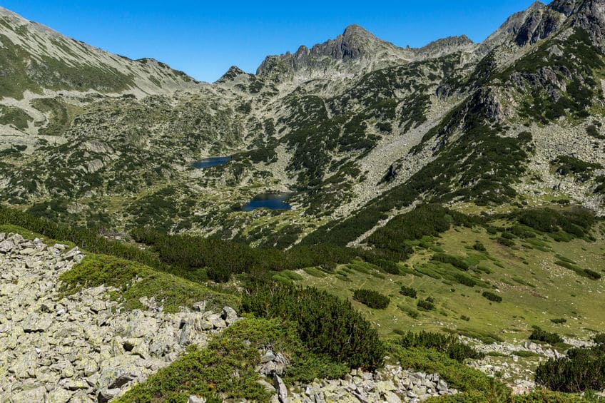 بلغاريا - حديقة بيرين الوطنية: أهم الحدائق الموجودة في بلغاريا