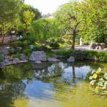 حديقة Municipal Park